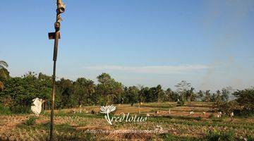 Gambar 1 Plot tanah di daerah yang sedang berkembang