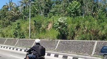 Gambar 5 tanah strategis 5,6ha,pinggir jalan besar