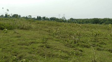 Gambar 1 Tanah cikande industri di kawasan moderen cikande serang