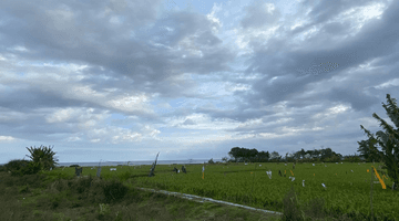 Gambar 5 beach front land di pantai siyut gianyar dekat basecamp bali united