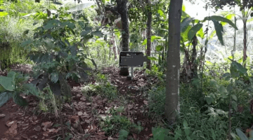 Gambar 4 Tanah Strategis di Dekat Danau Lido Sukabumi