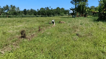 Gambar 1 Tanah nol jalan pasuruan