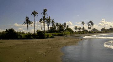 Gambar 1 tanah beach front lokasi sangat tenang di pantai ketewel