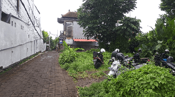 Gambar 4 Tanah istimewa Ubud