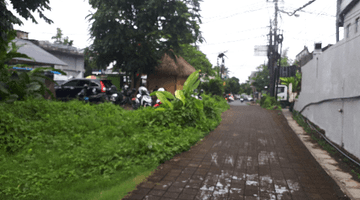 Gambar 2 Tanah istimewa Ubud