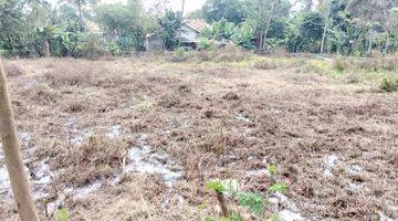 Gambar 1 tanah sawah untuk pemancingan,ternak ikan, rumah mkn pedesaan