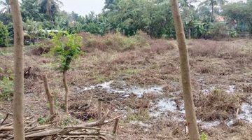 Gambar 3 tanah sawah untuk pemancingan,ternak ikan, rumah mkn pedesaan