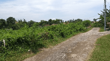 Gambar 3 Tanah 1 km dari Pantai Canggu