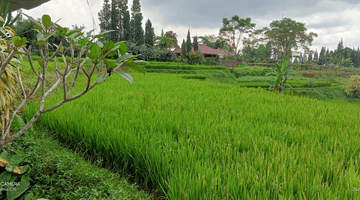 Gambar 2 tanah siap bangun cisarua puncak