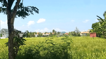 Gambar 1 For Lease 80 are Land in Touristic Zone Berawa