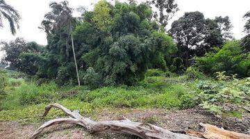 Gambar 1 Tanah Darat Siap Pakai di Krukut Raya Depok Dekat Tol Desari