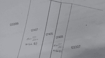 Gambar 3 Pekarangan full pohon jati 359m ld 9m di godean