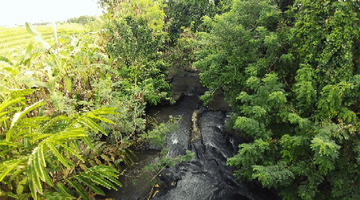 Gambar 2 FREEHOLD Land, 180 Are in Tanah Lot