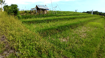 Gambar 1 FREEHOLD Land, 180 Are in Tanah Lot