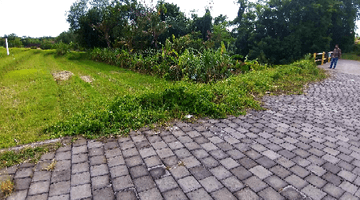 Gambar 5 FREEHOLD Land, 180 Are in Tanah Lot