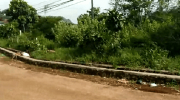 Gambar 2 tanah kosong cocok utk perumahan di kawasan industri, ... Pilihan landedhouse 