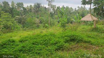 Gambar 2 L – 2017-Rare Ubud Commercial Opportunity Huge Plot Of Freehold Land – Pupuan, Tegalalang, Ubud