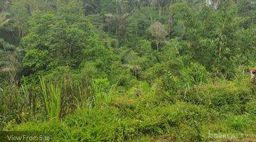 Gambar 3 L – 2017-Rare Ubud Commercial Opportunity Huge Plot Of Freehold Land – Pupuan, Tegalalang, Ubud