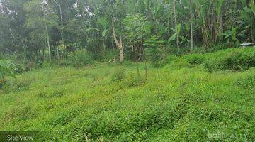 Gambar 1 L – 2017-Rare Ubud Commercial Opportunity Huge Plot Of Freehold Land – Pupuan, Tegalalang, Ubud