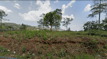 Gambar 1 Tanah kotak Luas 1780m² (22x85) daerah Bukit Pakar Utara