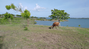 Gambar 5 BEACH FRONT SAUNG LOMBOK