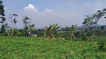 Gambar 4 tanah murah di cigombong bogor