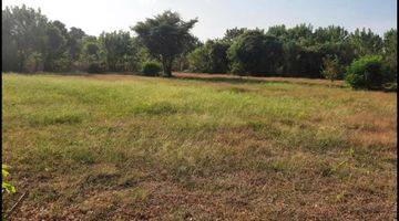 Gambar 2 CLIFT FRONT LAND IN NUSA DUA 1,25 HA