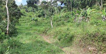 Gambar 2 tanah kebun di bogor gunung salak