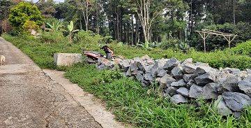 Gambar 1 tanah kebun di bogor gunung salak