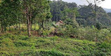 Gambar 4 tanah kebun di bogor gunung salak