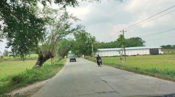 Gambar 4 JUAL ZONA MERAH BUAT KAWASAN INDUSTRI DI PURWODADI GROBOGAN JAWA TENGAH