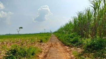 Gambar 5 ZONA MERAH UNTUK KAWASAN INDUSTRI SIAP BANGUN DI PURWODADI GROBOGAN 