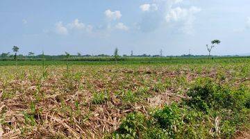 Gambar 2 ZONA MERAH UNTUK KAWASAN INDUSTRI SIAP BANGUN DI PURWODADI GROBOGAN 