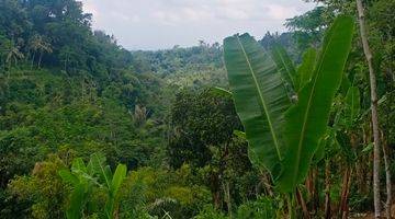 Gambar 2 Tanah View Sawah Dan Lembah, Lingkungan Tenang Dan Sejuk Di Ubud