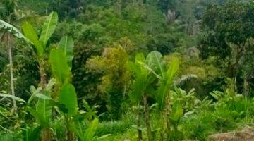 Gambar 3 Tanah View Sawah Dan Lembah, Lingkungan Tenang Dan Sejuk Di Ubud