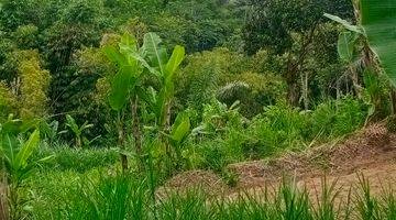 Gambar 1 Tanah View Sawah Dan Lembah, Lingkungan Tenang Dan Sejuk Di Ubud