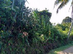 Gambar 2 Di kontrakan tanah kebun di Bogor