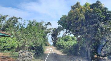 Gambar 1 Tanah Di Kawasan Wisata Geopark Harga Sangat Murah