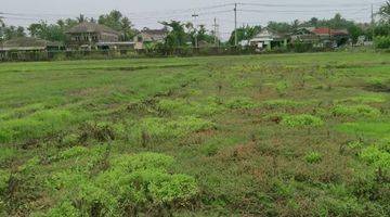 Gambar 1 Kavling zona Komersil di Jalan Raya Panggung, Panimbang, Banten