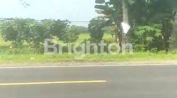 Gambar 1 tanah di lokasi Ry provinsi solo - ngawi strategis depan rumah makan duta dan dekat tol exit ngawi