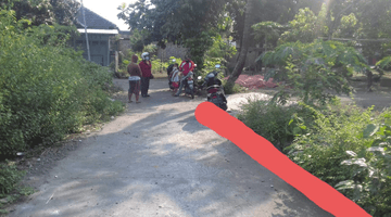 Gambar 1 Tanah terletak di lingkungan nasionalis cocok untuk rumah hunian dan home stay dekat candi Prambanan