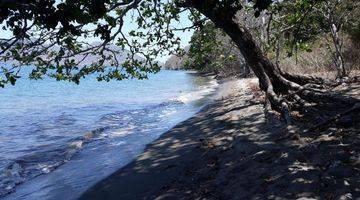 Gambar 5 Tanah pinggir pantai, beach front. Lokasi dekat rinca, kontur tanah landai. Bagus untuk hotel dan resort