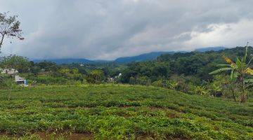 Gambar 1 Tanah villa siap bangun puncak