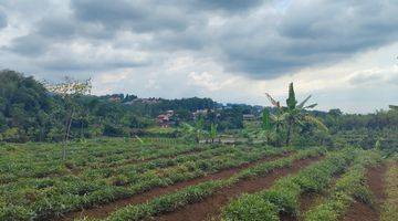 Gambar 4 Tanah villa siap bangun puncak