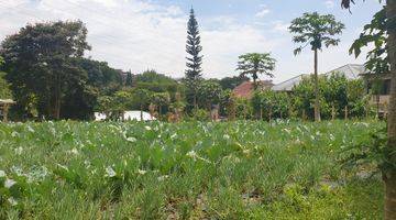 Gambar 1 Tanah datar di setiabudi regency dengan lebar muka yg besar. Jarang ada di setiabudi regency. 