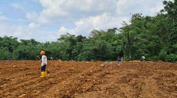 Gambar 2 Tanah luas area Gunung sindur Bogor lokasi strategis sangat cocok untuk perumahan menengah harga juga terjangkau