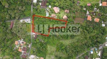 Gambar 4 Land In Tourist Area Pecatu, South Kuta, Close To Pecatu Indah Resort And Melasti Beach