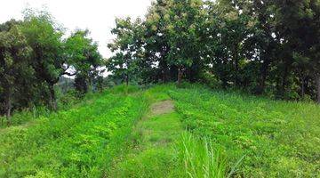 Gambar 1 Beautiful Land suitable for agrobusiness and villa