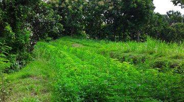 Gambar 4 Beautiful Land suitable for agrobusiness and villa