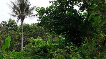 Gambar 5 Beautiful Land suitable for agrobusiness and villa